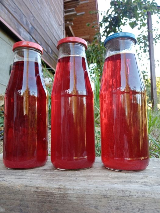 Sok z derenia jadalnego. Super zdrowy. Bomba witaminowa.