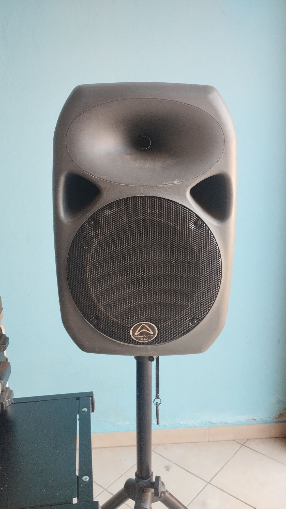 PA 12' de 2000 watts