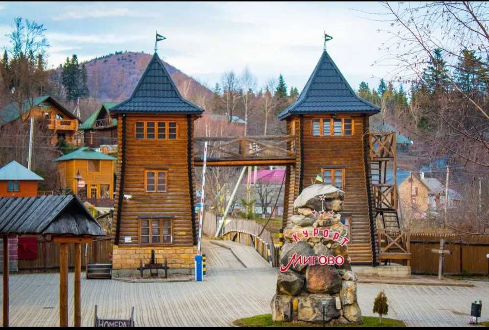 Продається діючий бізнес на курорті Мигово