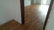 Parkiet dab lity lakierowany 16x70x250mm