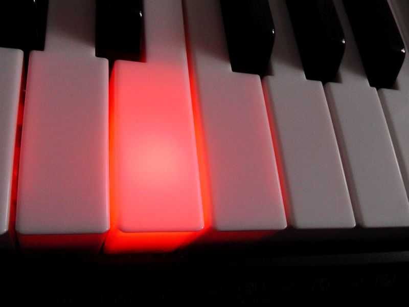 Casio LK-240 Keyboard do nauki podświetlana i dynamiczna klawiatura