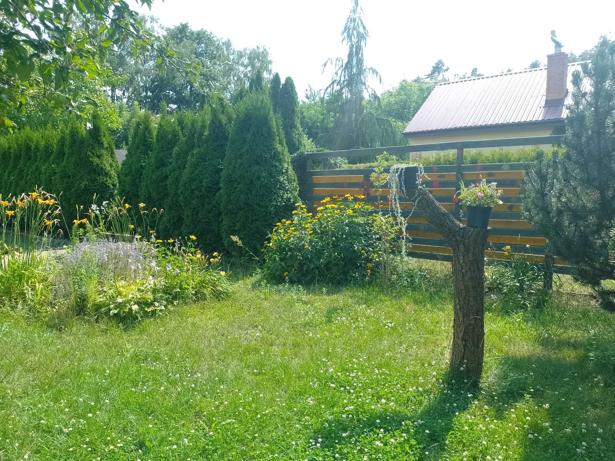 Duża działka rekreacyjna z domkiem