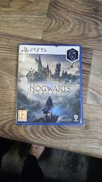 Ігровий диск PS5 Hogwarts Legacy [PS5, Blu-Ray диск]