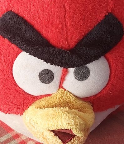 Angry Birds, czerwony ptak, świnia w chełmie,  kasku