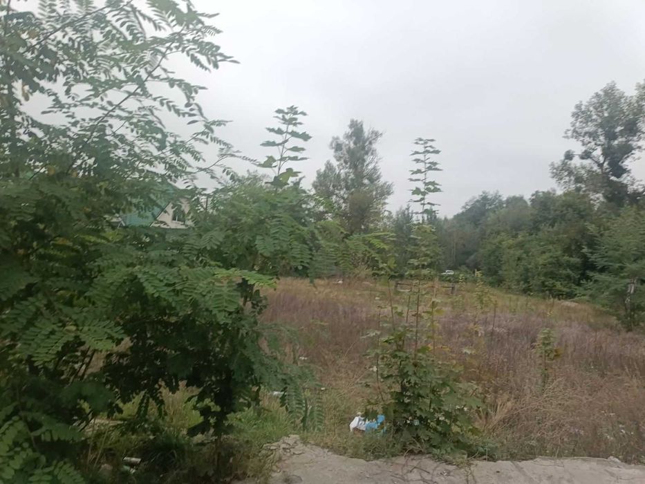 Продаж земельної ділянки, площею 0.2444 га, Рівненська обл.