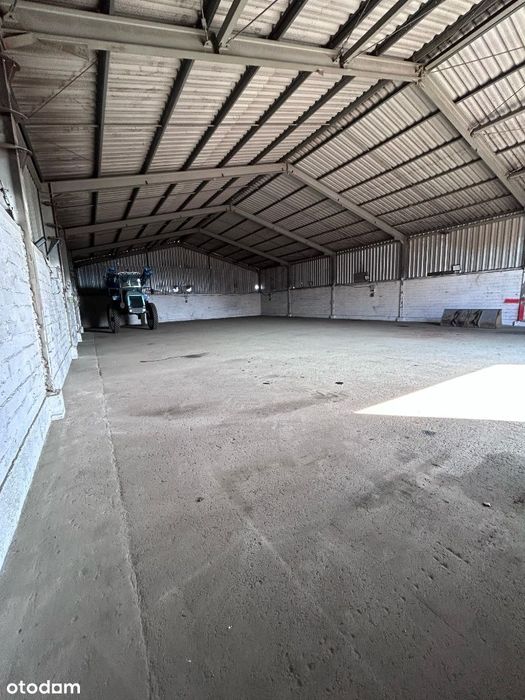 Hala – idealna pod magazyn, warsztat lub serwis
