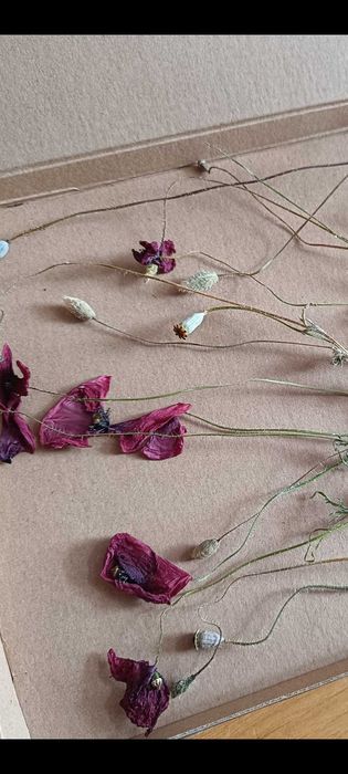 Suszone maki naturalne