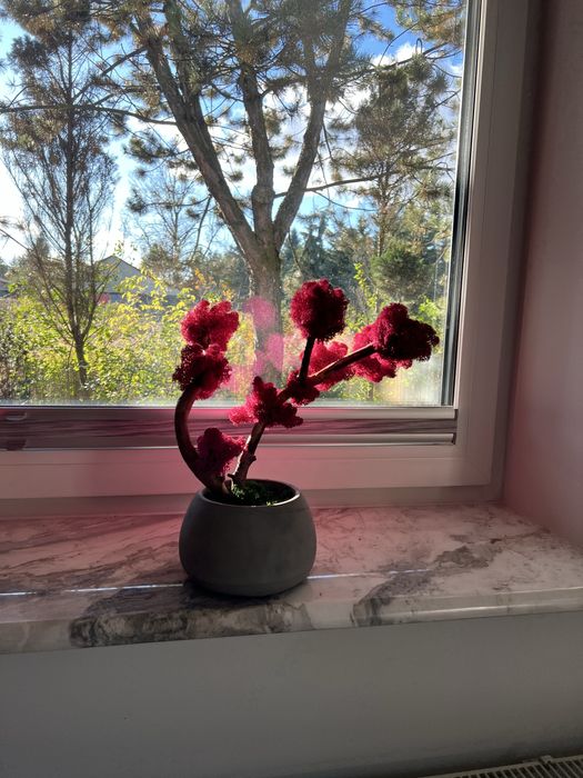 Drzewko z mchu, bonsai, bezobslugowe drzewko