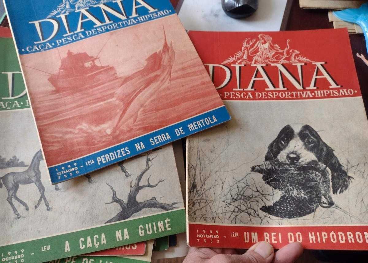 Diana - Caça - Hipismo - Pesca Desportiva 1949