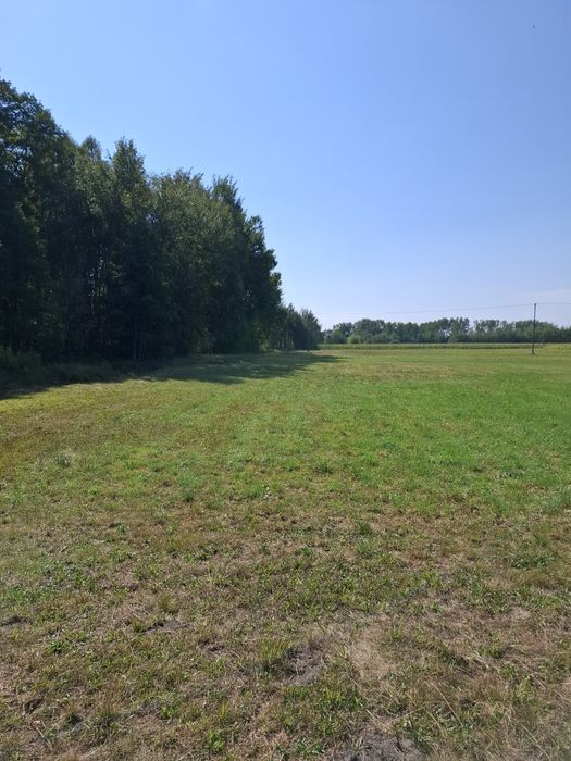 Działka nr 319/6 w miejscowości Czyszkówek o pow. 5495m² z WZ
