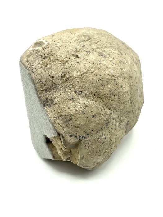 Pedra Fóssil Septariano Aragonite