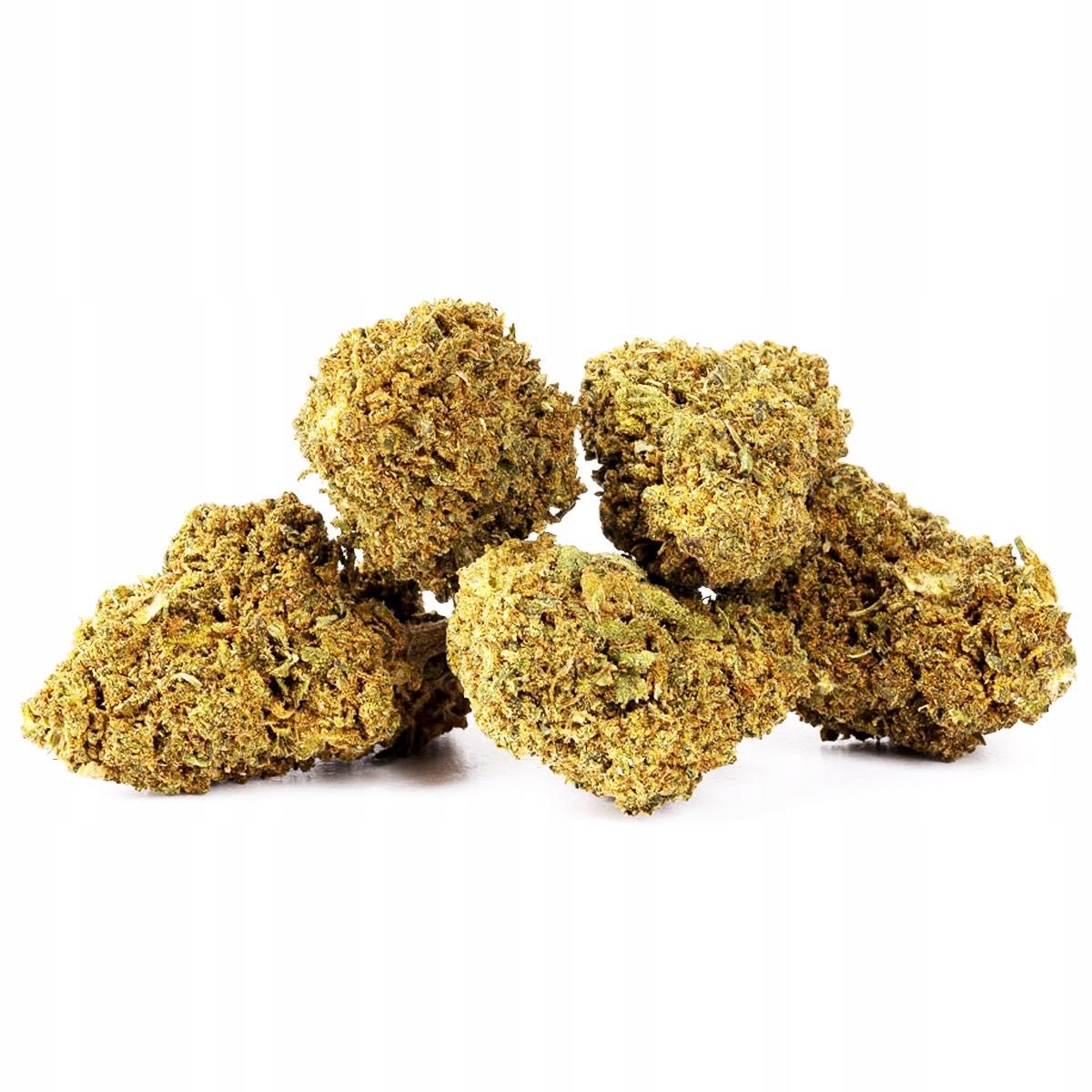 100G Susz konopny CBD JACK HERRER 30% Producent Szwajcaria