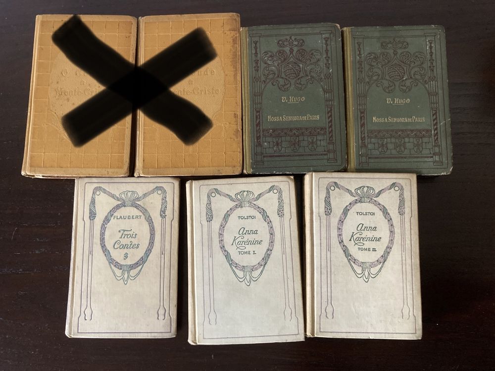 Livros Vitor Hugo,Tolstoi e Flaubert desde 10€