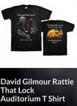 Футболка David Gilmour (Pink Floyd)-официальный мерч тура,р.XL (54-56)