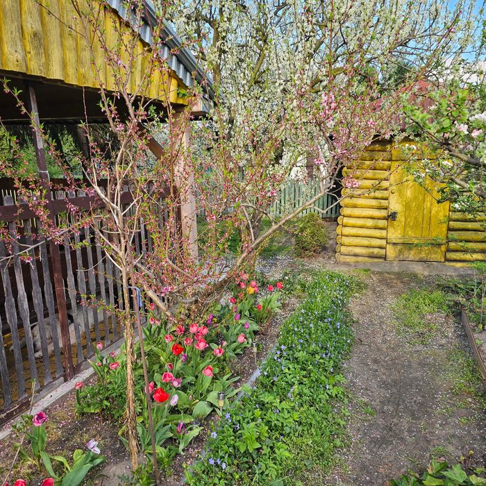 Działka ROD Czeremcha