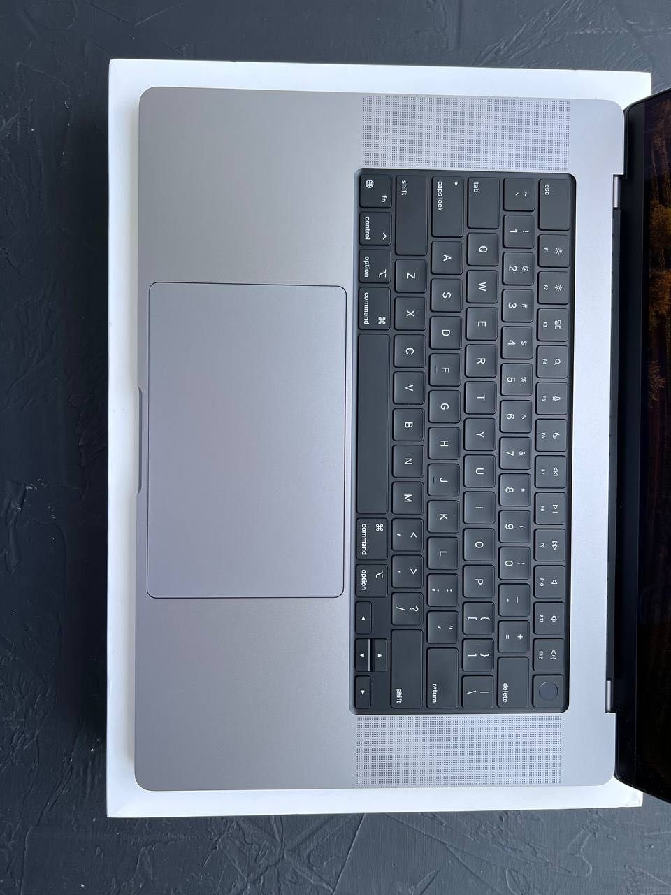 MacBook Pro 16” 2023 A2780 GRAY BAT: 19/100%