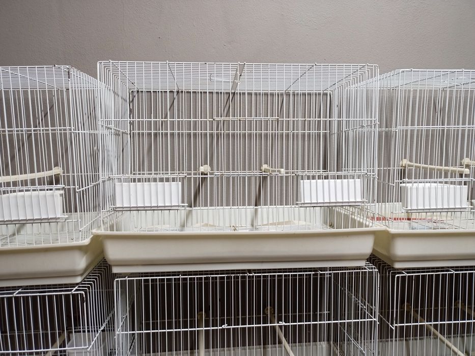 Viveiros para vários tipos de aves