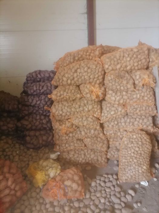 Ziemniaki denar soraya lawenda lord