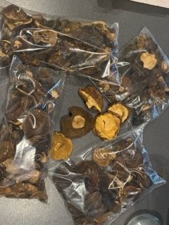 Spezedam suszone mieszane grzyby