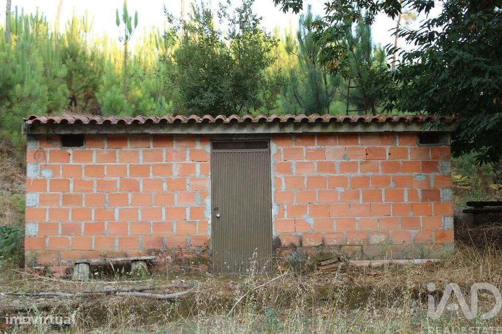 Terreno em Nogueira do Cravo