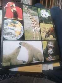 Продаю енциклопедію  про тварин