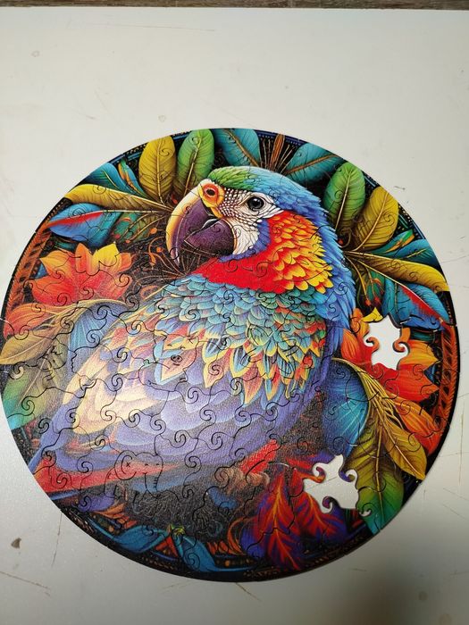 Drewniane puzzle papuga