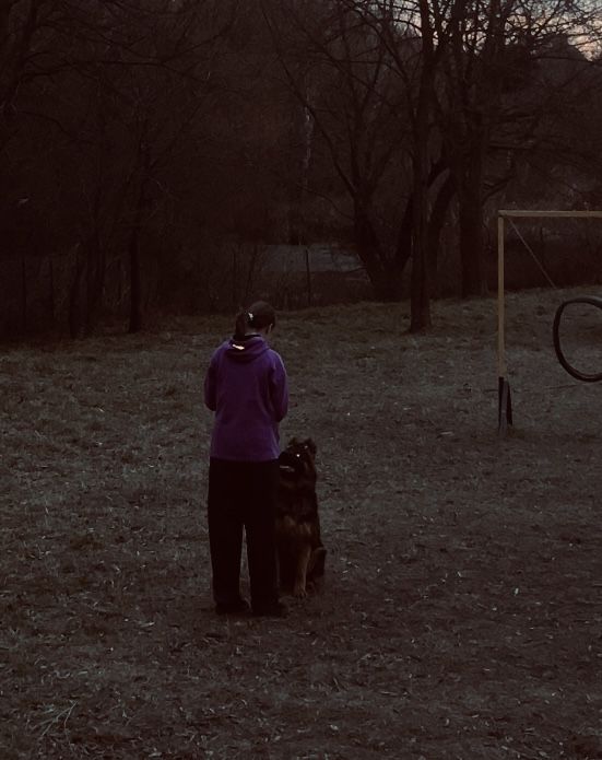 Вигул тварин,турбота та любов для ваших пухнастиків