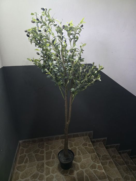 Drzewko Oliwne 160 cm - sztuczne