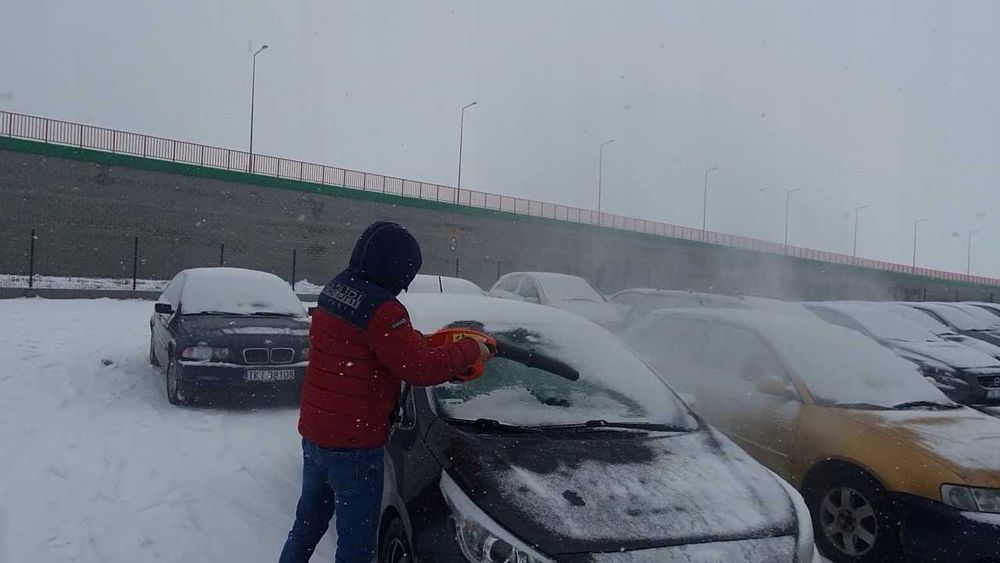 Dmuchawa spalinowa do liści śniegu Demon M88170 NOWA