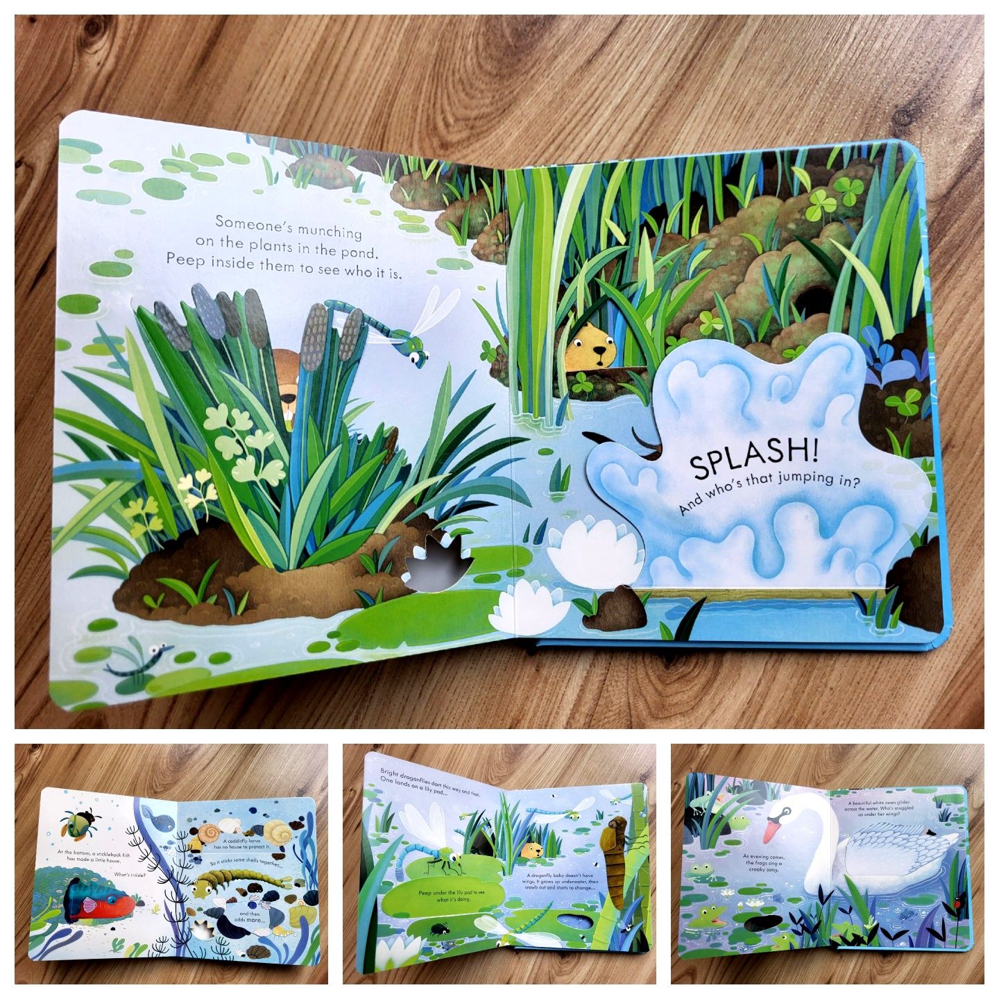 The Pond Usborne Peep Inside z okienkami po angielsku
