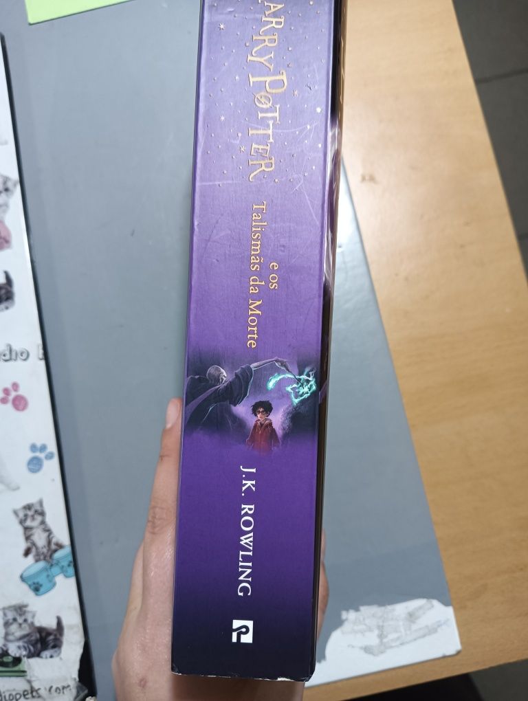 Livro Harry Potter e os Talismãs da Morte