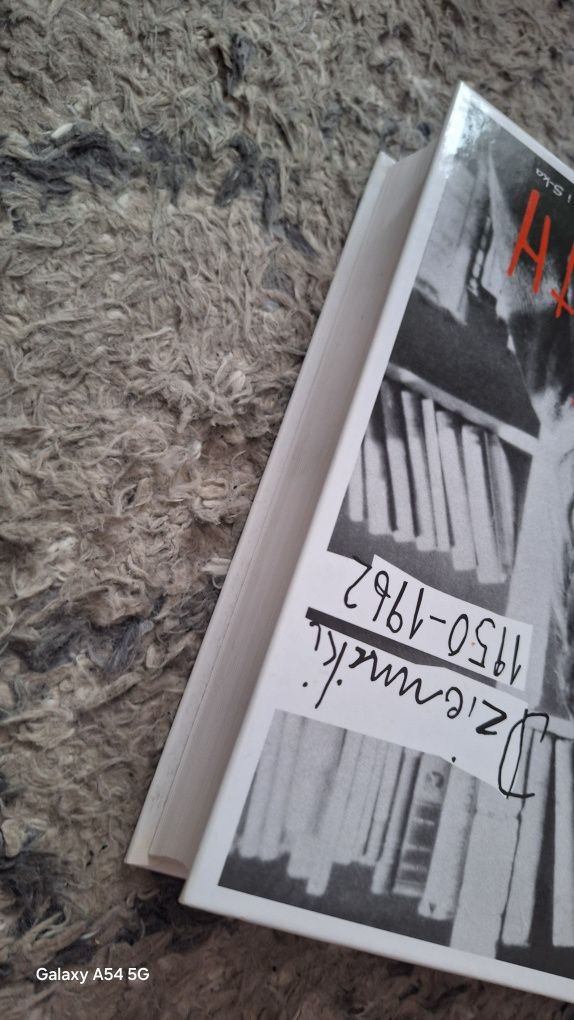 Sylvia Plath Dzienniki [BSZP2]