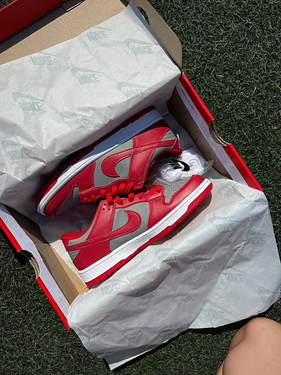 Кроссовки Nike SB Dunk Low Retro Medium Grey Red v2