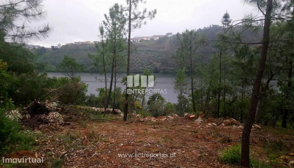 Venda Terreno, vista rio, Rio Mau, Penafiel