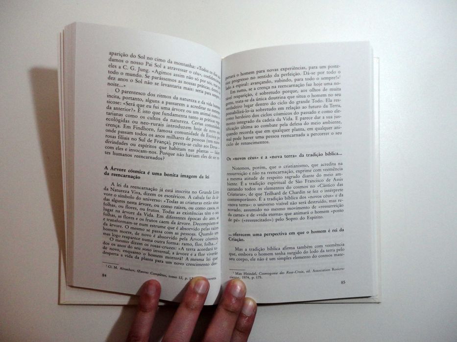 "Reencarnação, Ressurreição" (Jean Vernette)