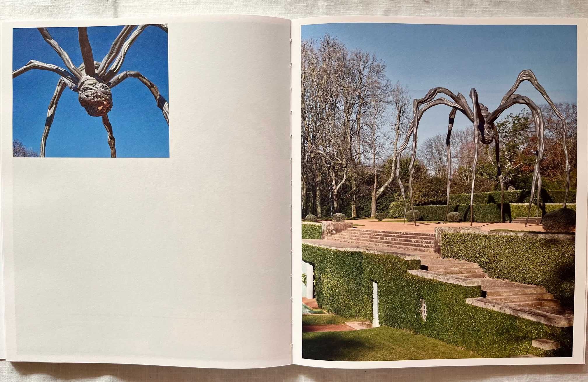 LOUISE BOURGEOIS: Deslaçar um tormento - SERRALVES
