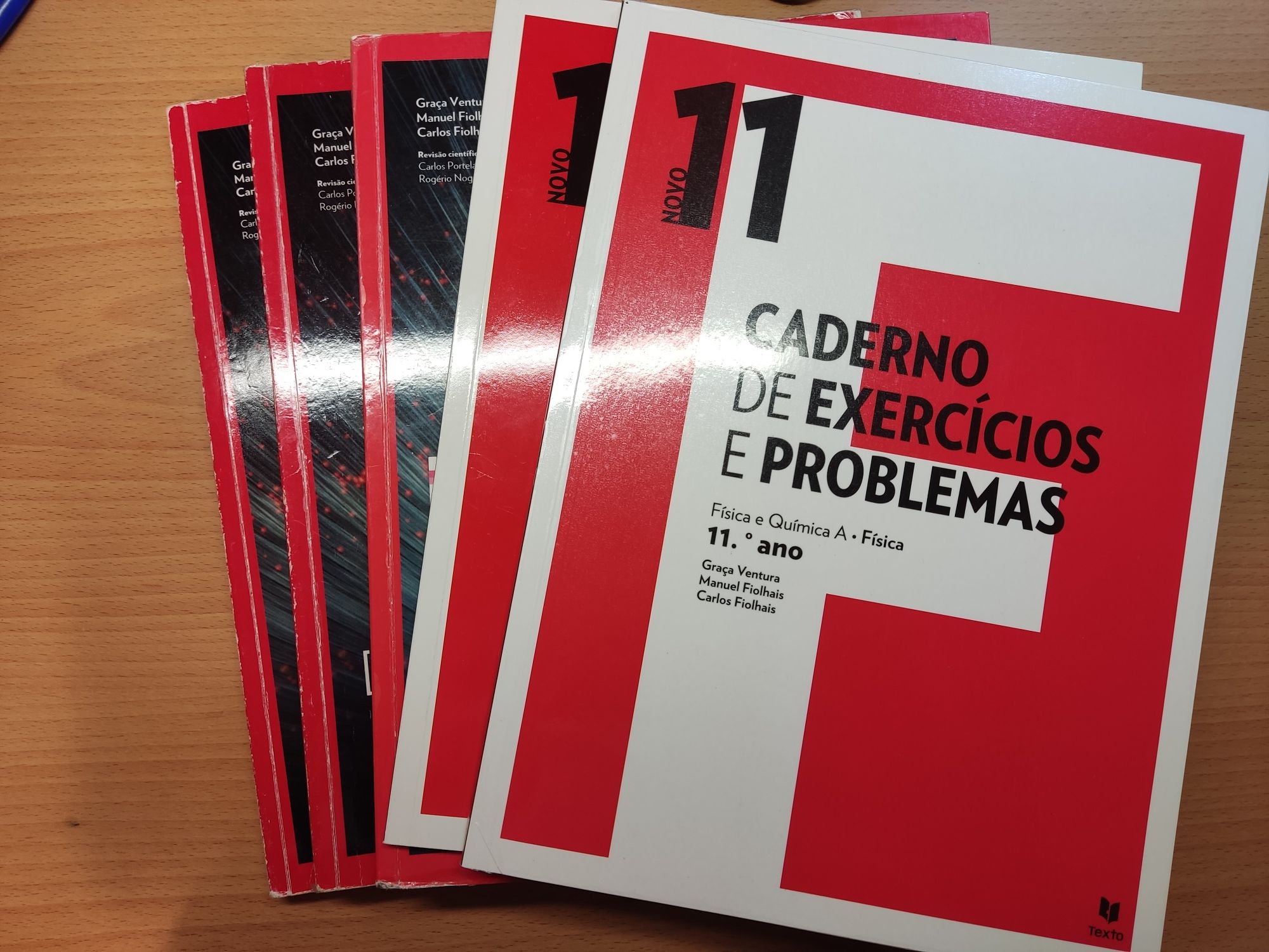 Manual e Caderno de Exercícios e Problemas Novo 11 F