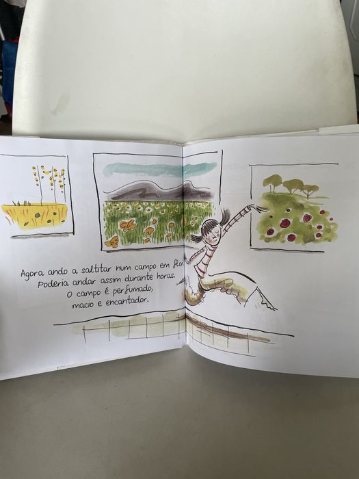 Livro O Museu de