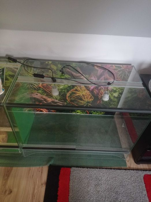 Terrarium z wentylacją