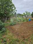 Terreno  para venda