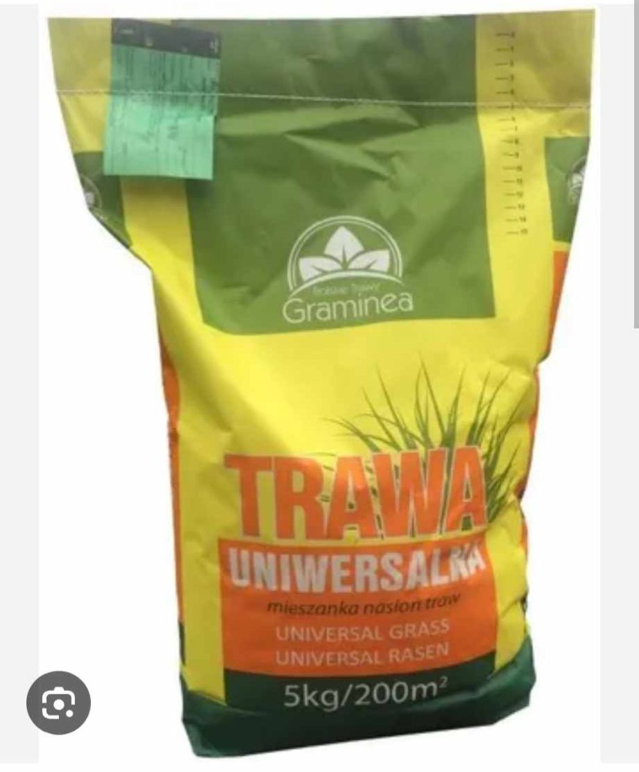 Trawa graminea mieszkanka traw 5kg