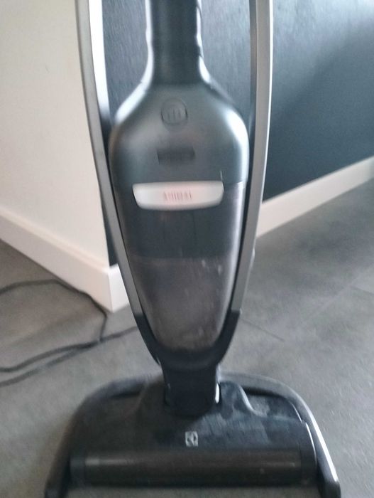 Odkurzacz pionowy Electrolux pure q9