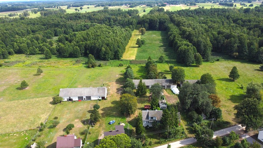 Siedlisko 37 arów - wieś Stepna Michałki woj. mazowieckie