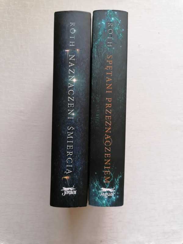 Veronica Roth - Naznaczeni śmiercią, Spętani przeznaczeniem