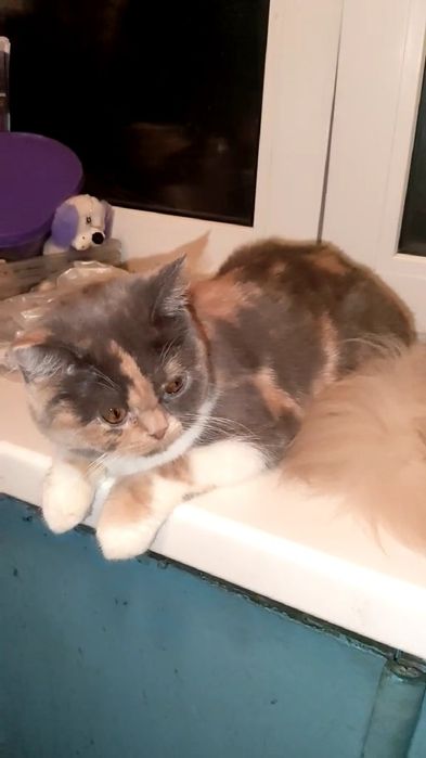 Яркая сочная карамелька. Девочка.