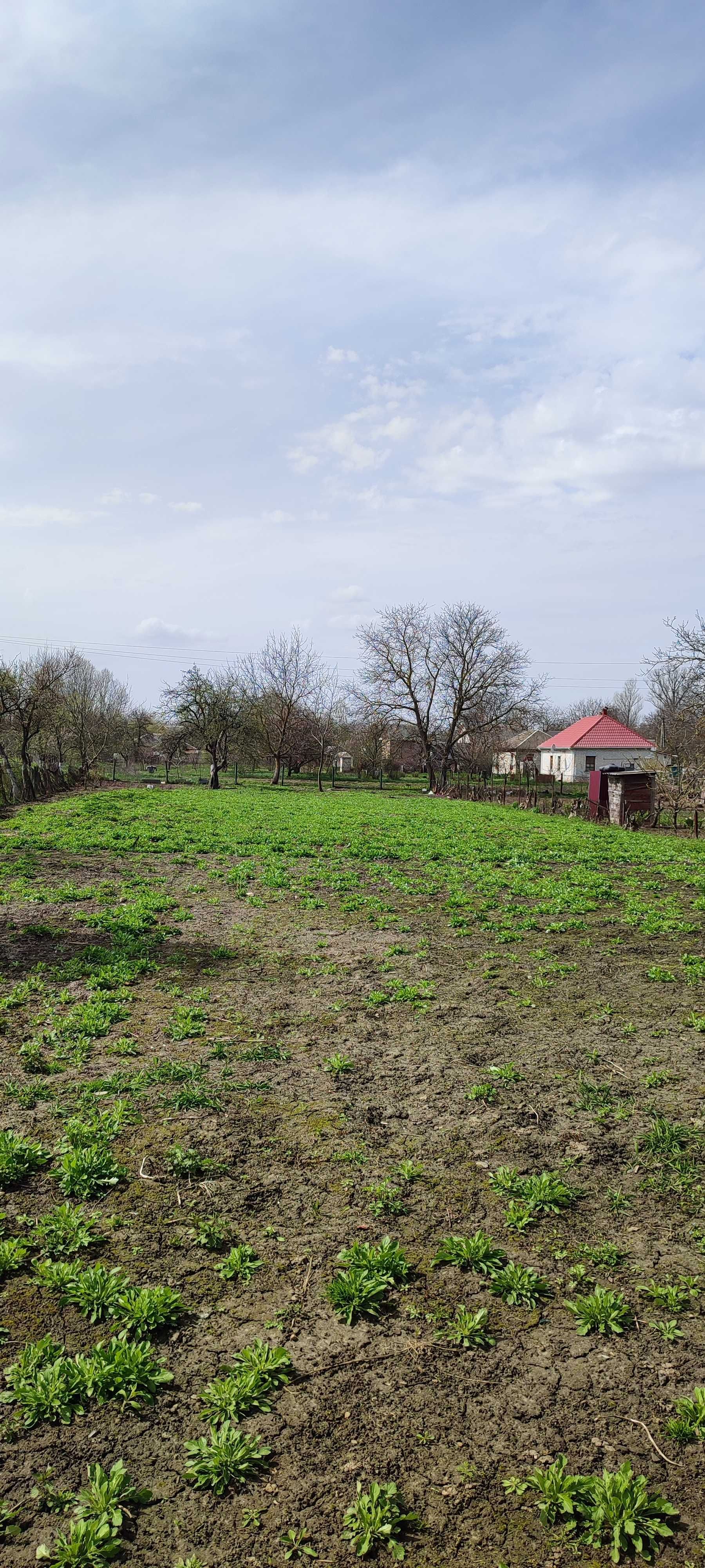 продажа дома в селе