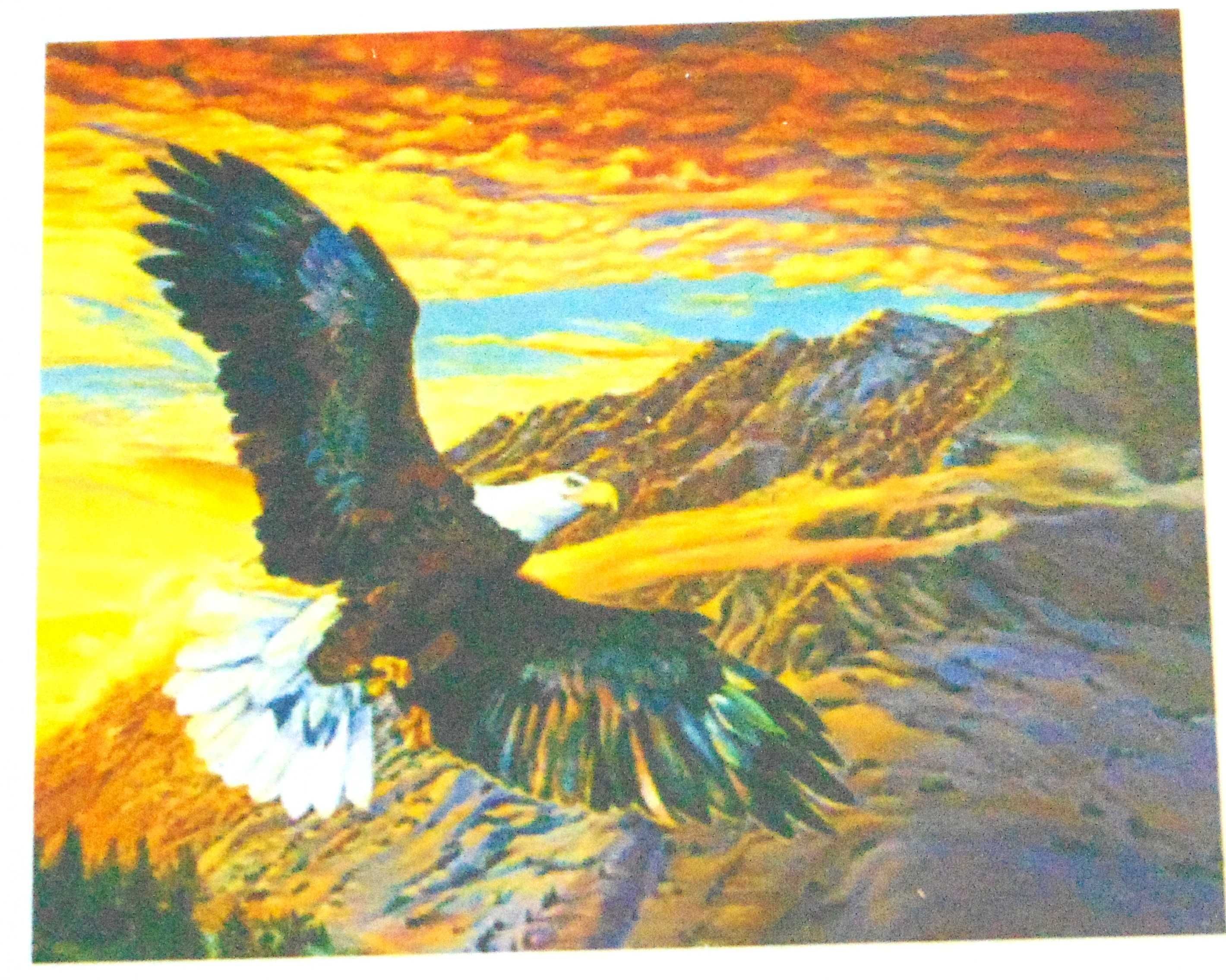 Obraz do malowania po numerach 40x50cm RÓŻNE WZORY