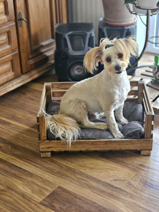 Drewniane łóżeczko dla psa/kota z poduszkom