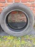 Резина Sportiva snow win 205/55 R16