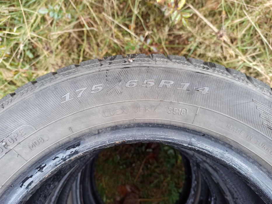 Opony zimowe Dębica frigo2 175/65 R14